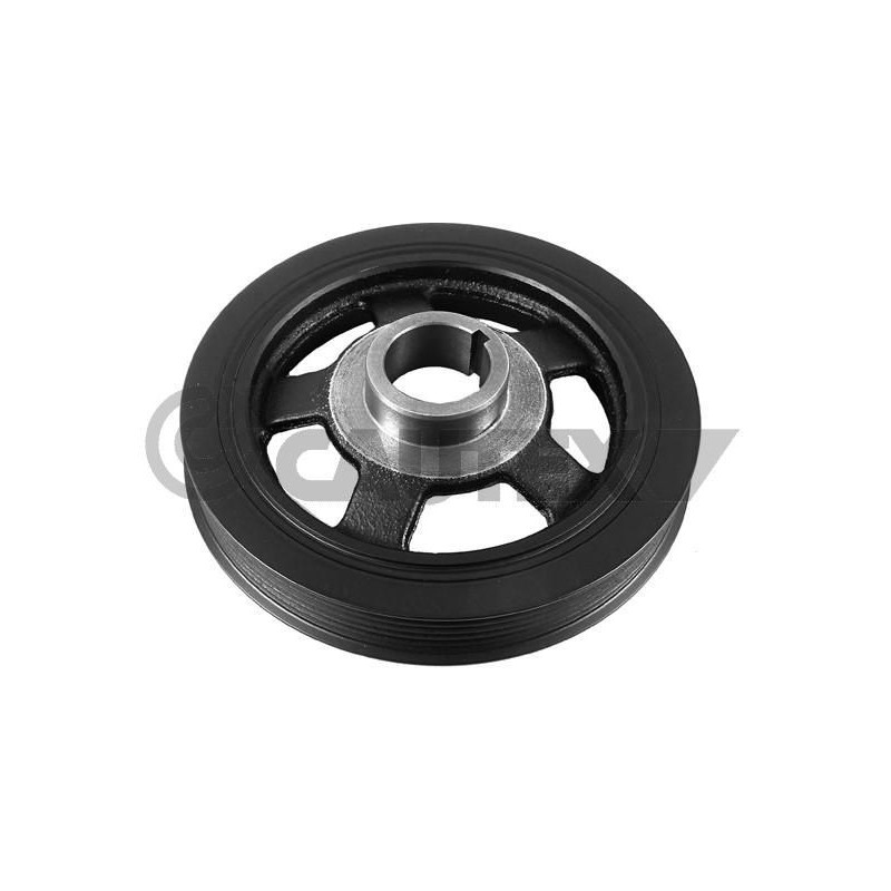 Puleggia albero motore - CAUTEX GOMMA E PARTI MOTORE