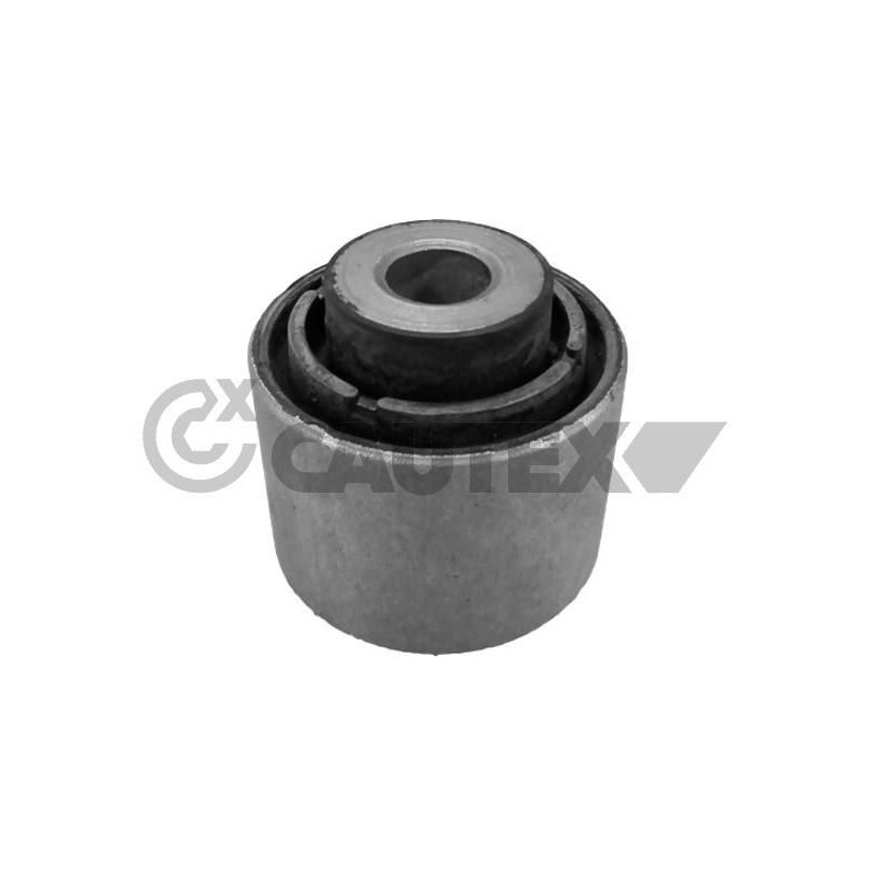 Braccio oscillante asse posteriore - CAUTEX GOMMA E PARTI MOTORE