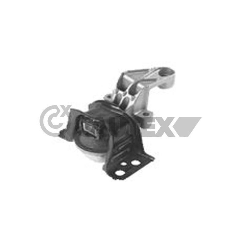 Supporto motore - CAUTEX GOMMA E PARTI MOTORE