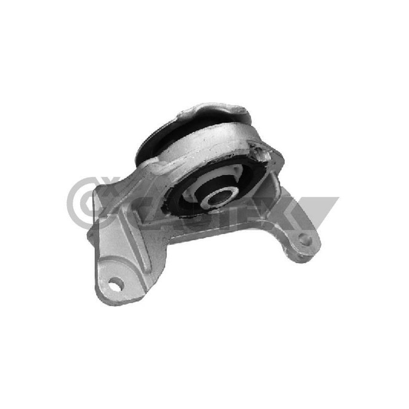 Supporto motore - CAUTEX GOMMA E PARTI MOTORE