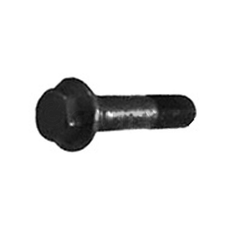 Puleggia albero motore - CAUTEX GOMMA E PARTI MOTORE