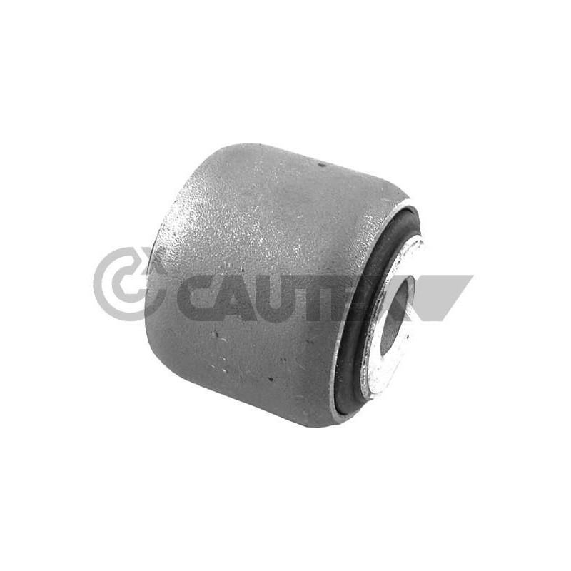 Braccio oscillante asse posteriore - CAUTEX GOMMA E PARTI MOTORE