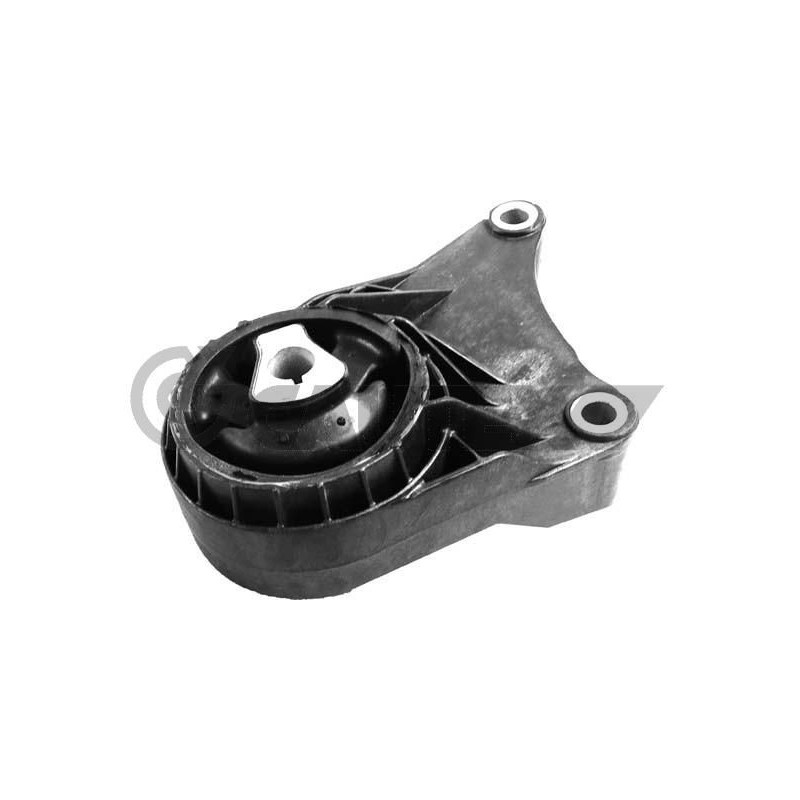 Supporto motore - CAUTEX GOMMA E PARTI MOTORE