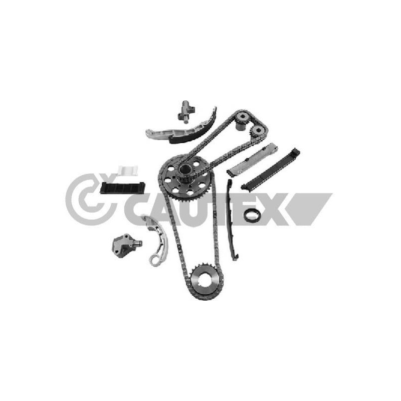 Cinghia/catena distribuzione - CAUTEX GOMMA E PARTI MOTORE