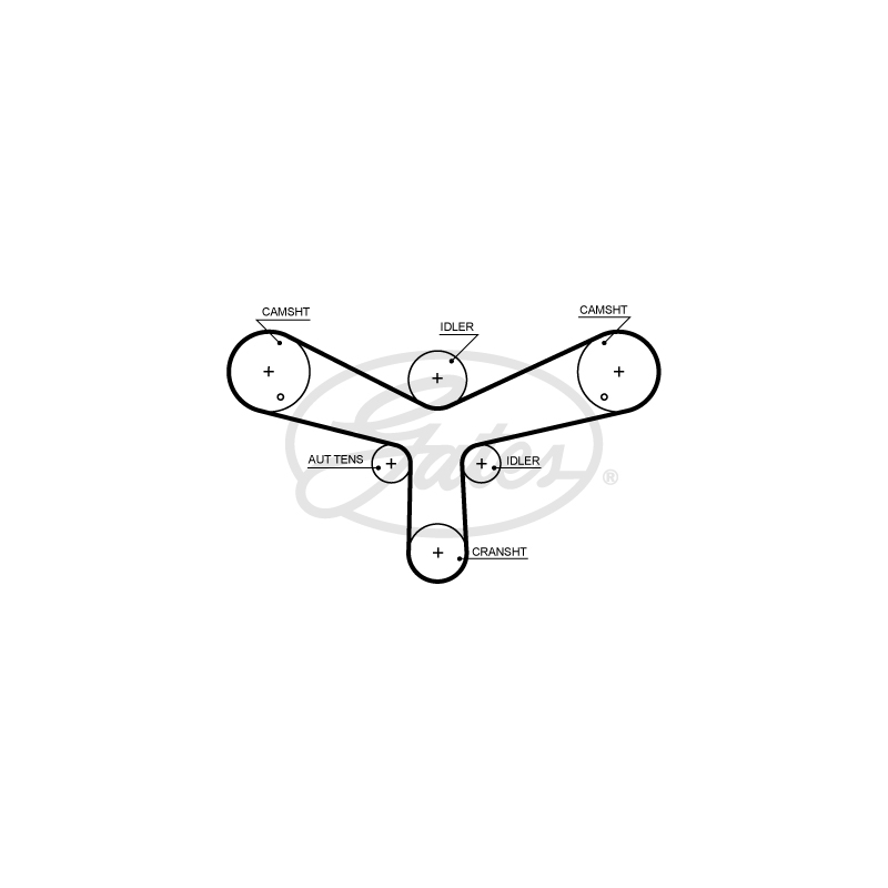 Cinghia/catena distribuzione - GATES