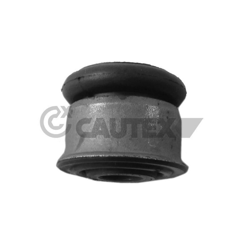 Pastiglie freno asse posteriore - CAUTEX GOMMA E PARTI MOTORE