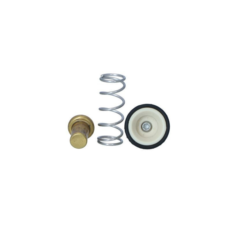 Termostato raffreddamento - NRF