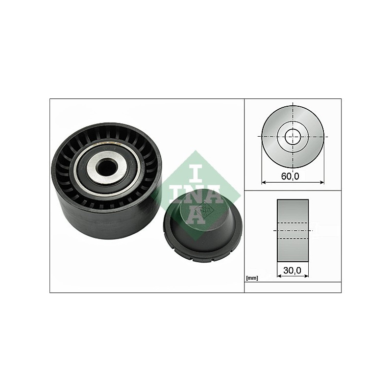 Tendicinghia trapezoidale - INA