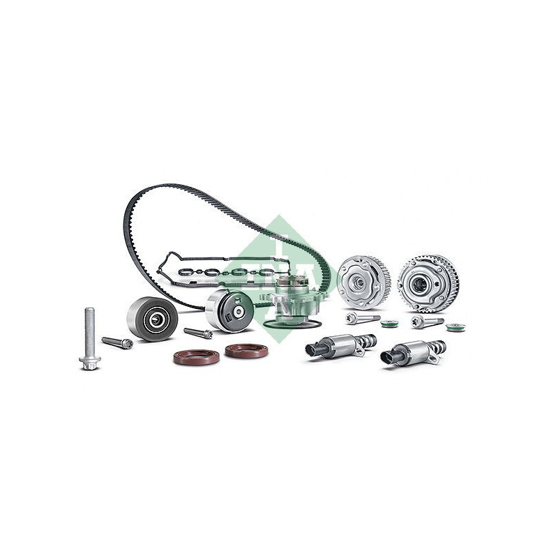 Tendicinghia trapezoidale - INA