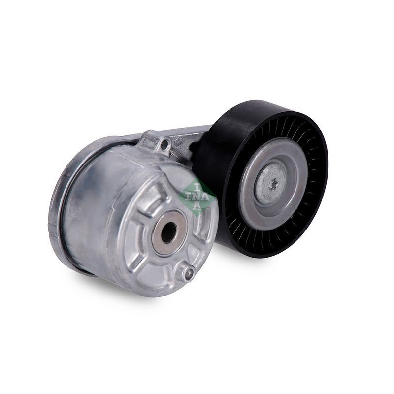 Tendicinghia trapezoidale - INA