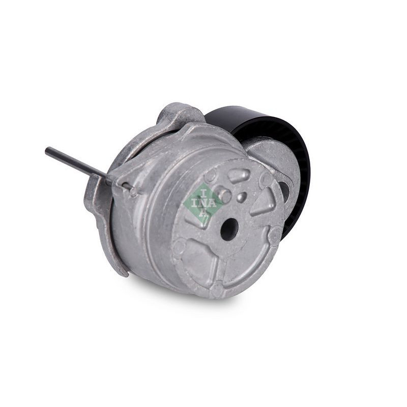 Tendicinghia trapezoidale - INA