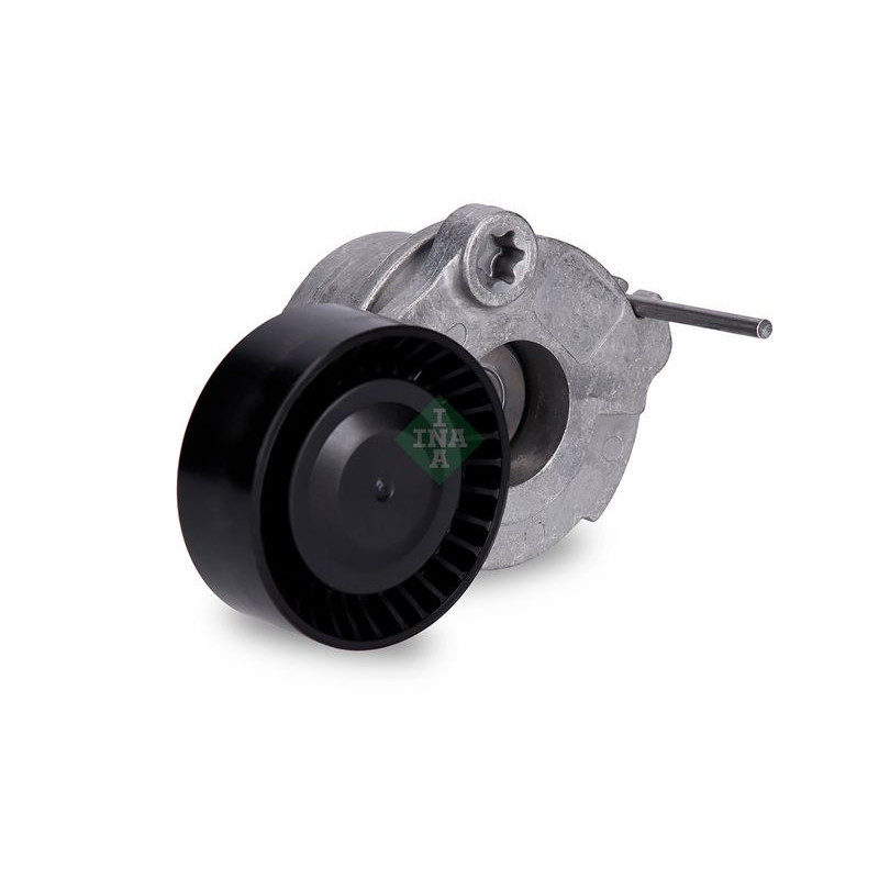 Tendicinghia trapezoidale - INA