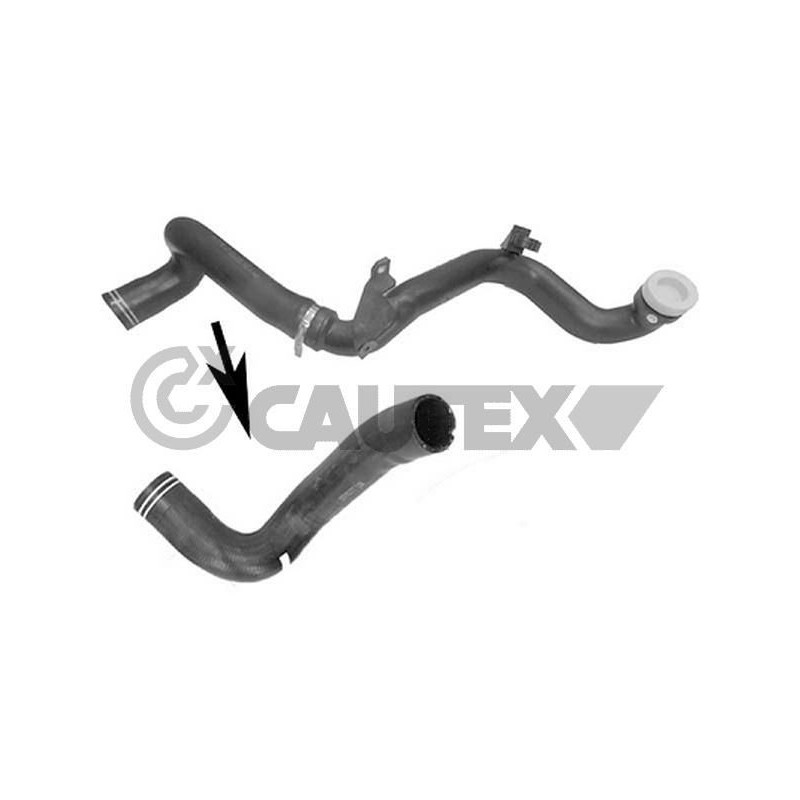 Flessibile aspirazione turbocompressore - CAUTEX GOMMA E PARTI MOTORE