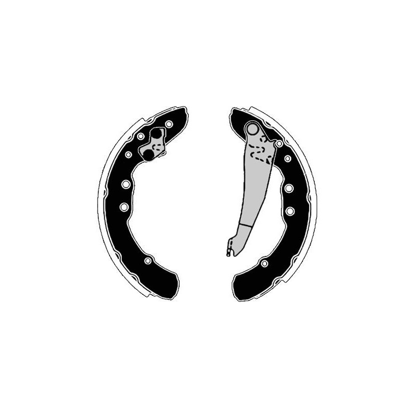 Ganasce freno - RAICAM