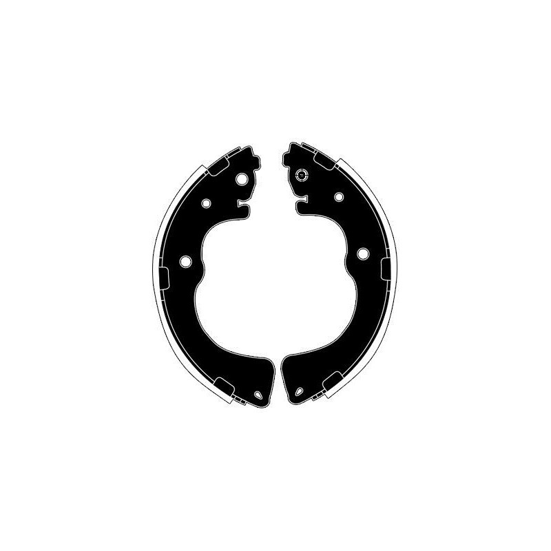 Ganasce freno - RAICAM