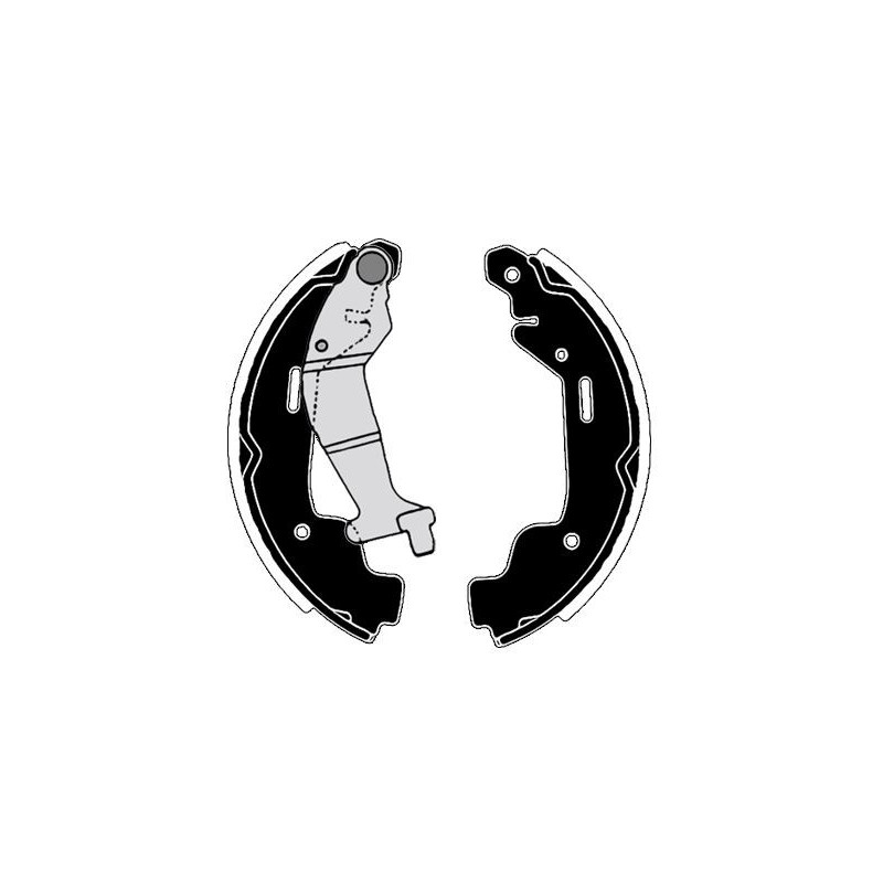 Ganasce freno - RAICAM