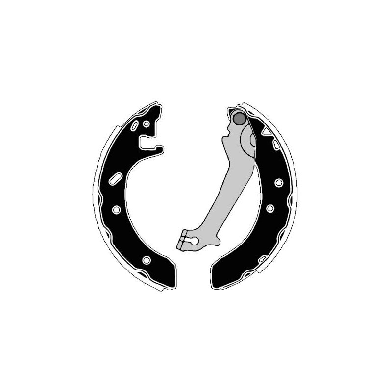 Ganasce freno - RAICAM