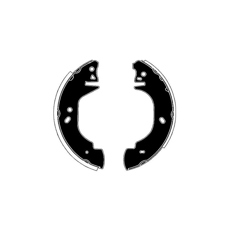 Ganasce freno - RAICAM