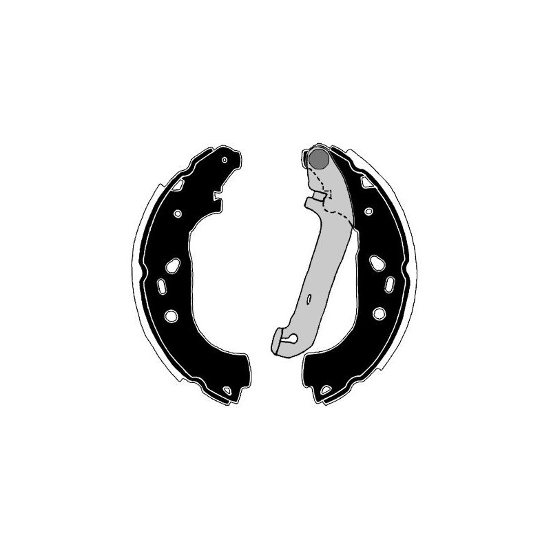 Ganasce freno - RAICAM