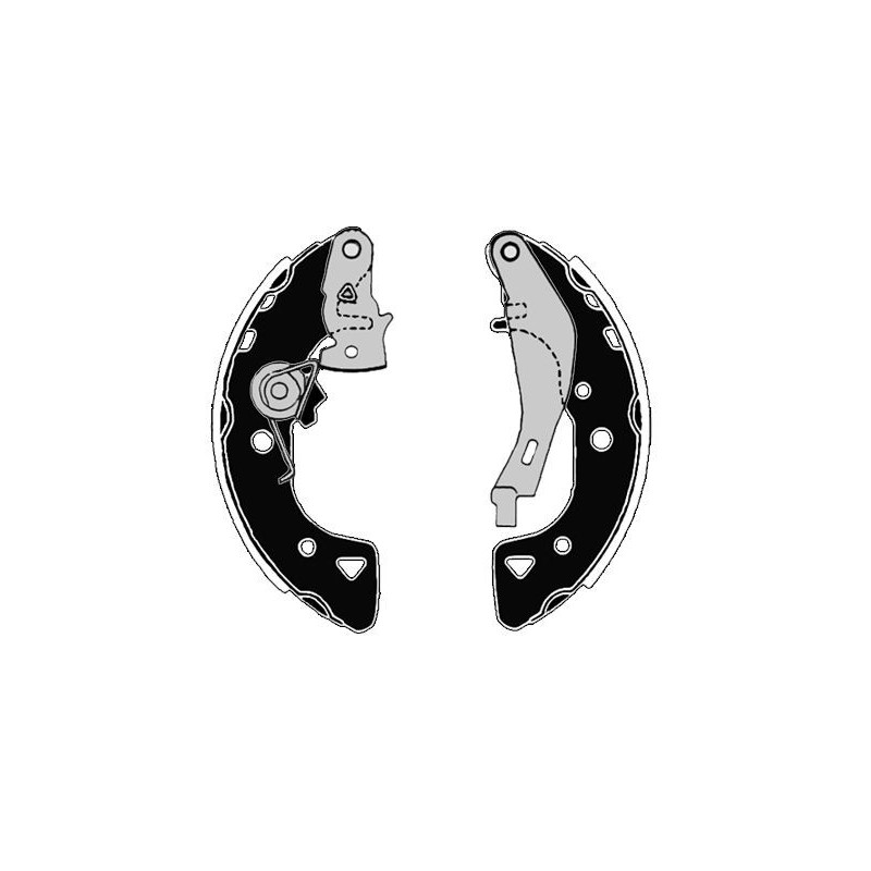 Ganasce freno - RAICAM