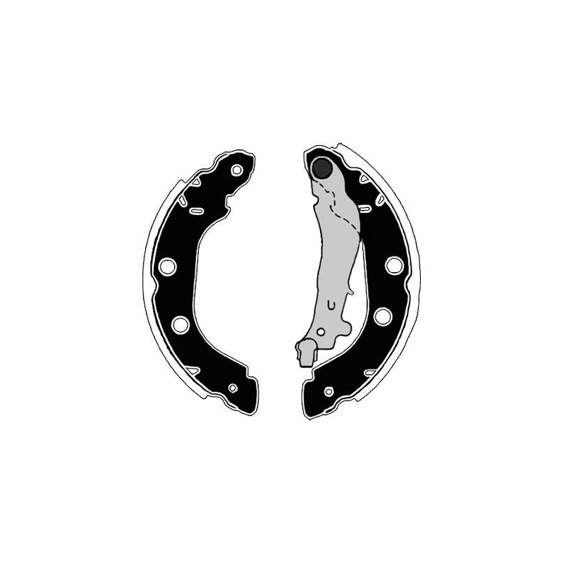 Ganasce freno - RAICAM