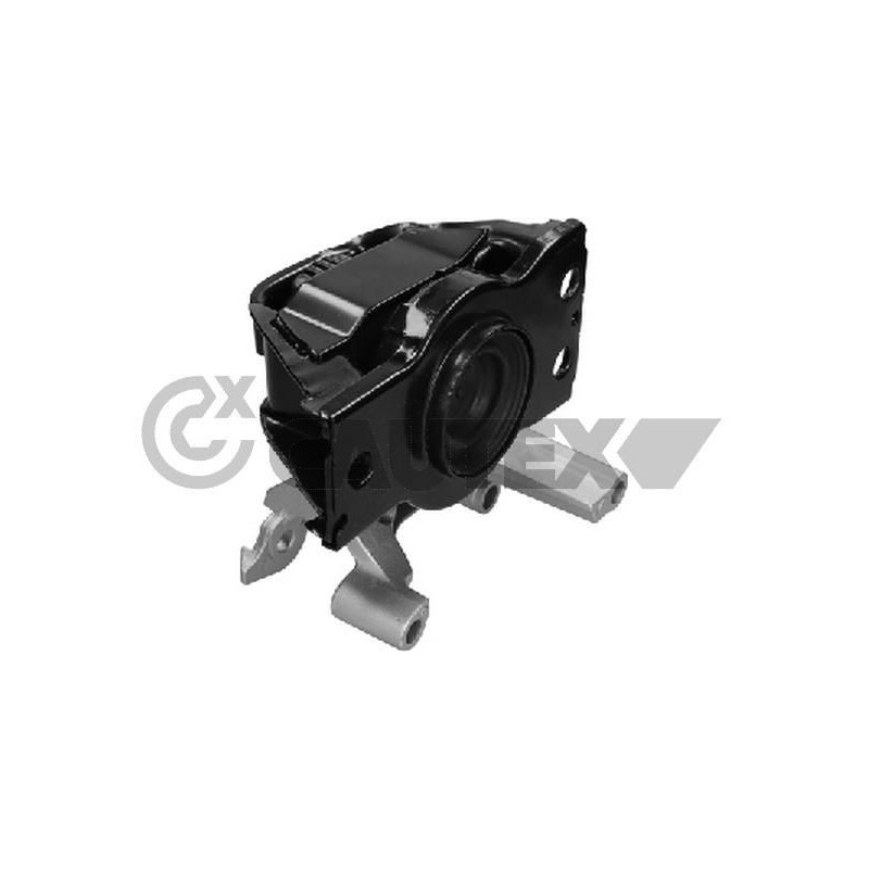 Supporto motore - CAUTEX GOMMA E PARTI MOTORE