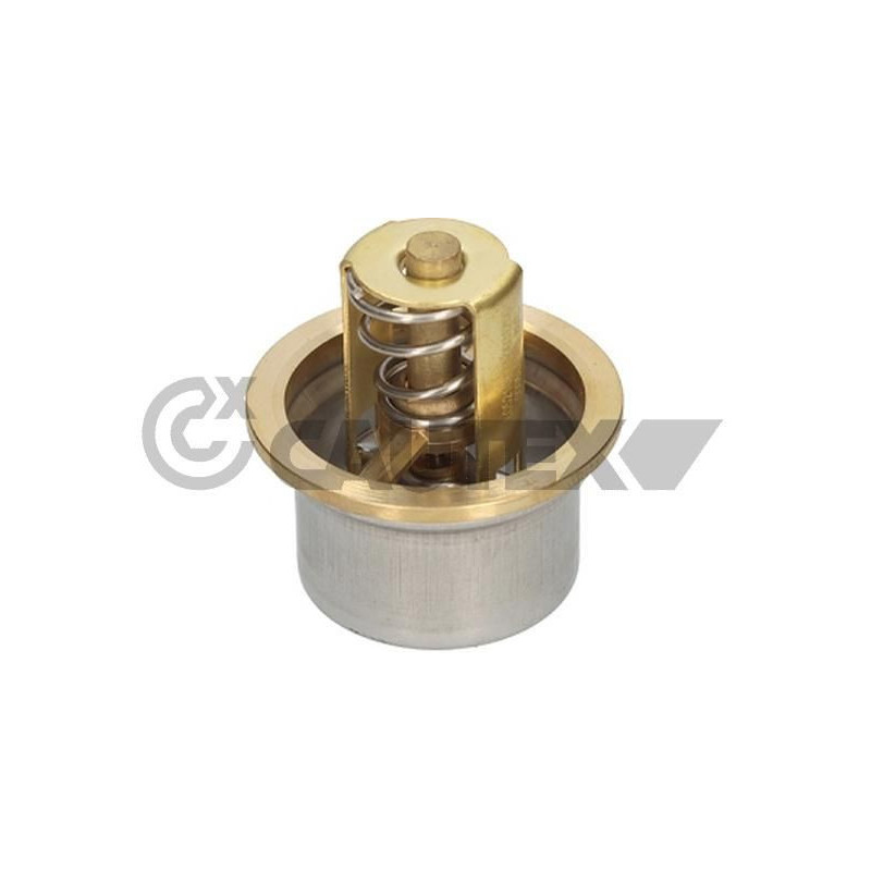 Termostato raffreddamento - CAUTEX GOMMA E PARTI MOTORE