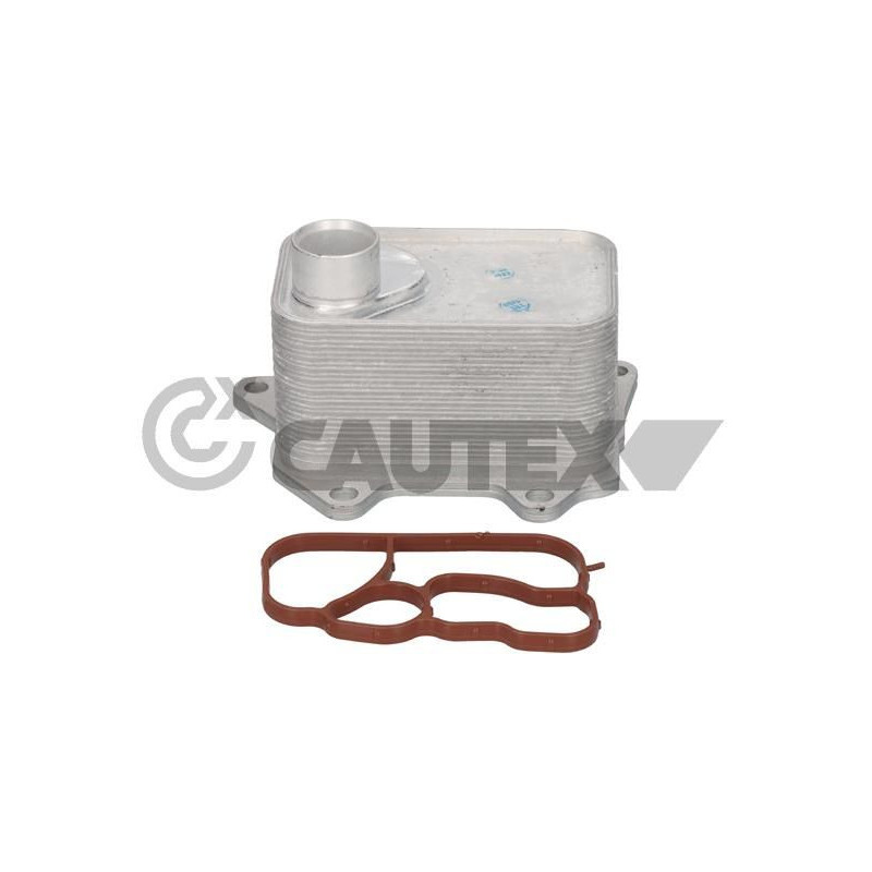 Radiatore olio motore - CAUTEX GOMMA E PARTI MOTORE