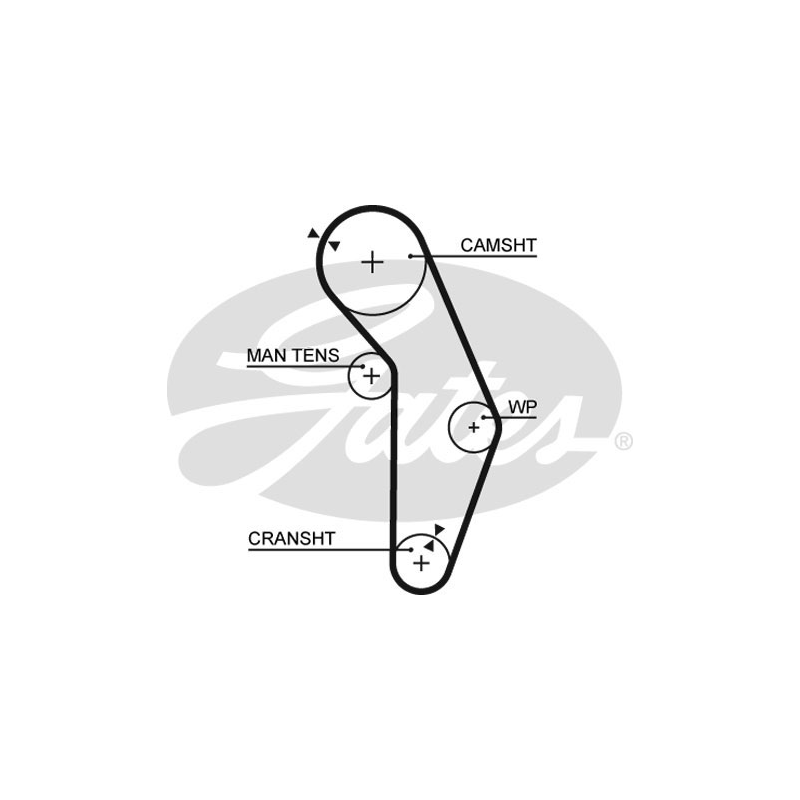 Cinghia/catena distribuzione - GATES