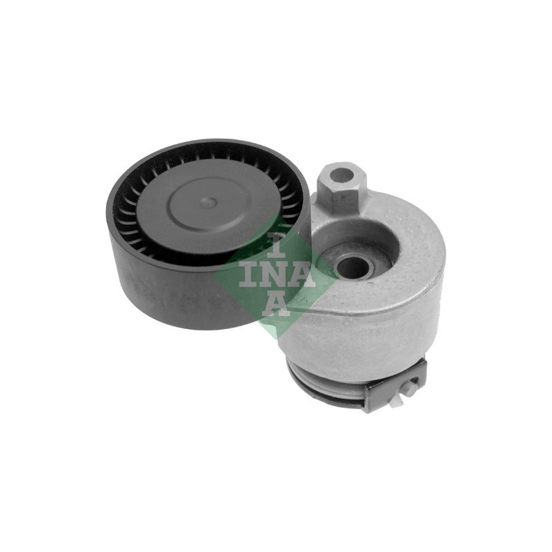 Tendicinghia trapezoidale - INA