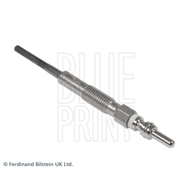 Candeletta - BLUE PRINT