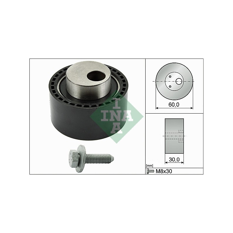 Tendicinghia distribuzione - INA