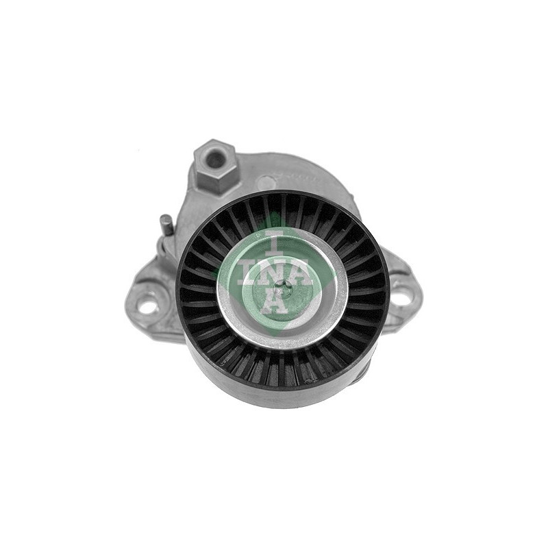 Tendicinghia trapezoidale - INA