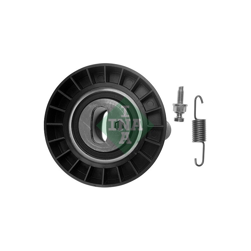 Tendicinghia distribuzione - INA