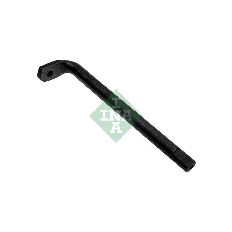 Tendicinghia trapezoidale - INA