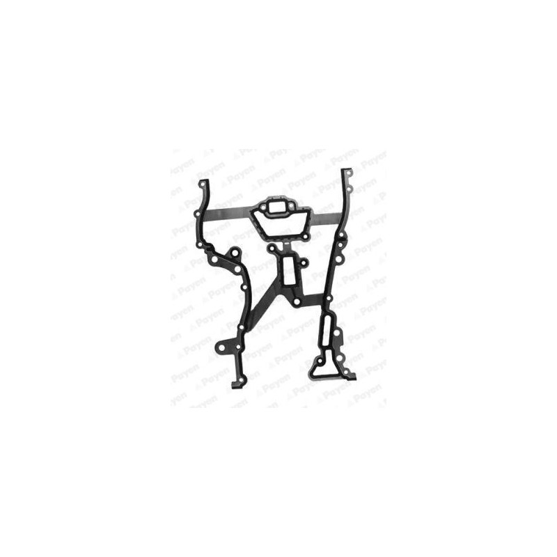 Kit distribuzione - PAYEN