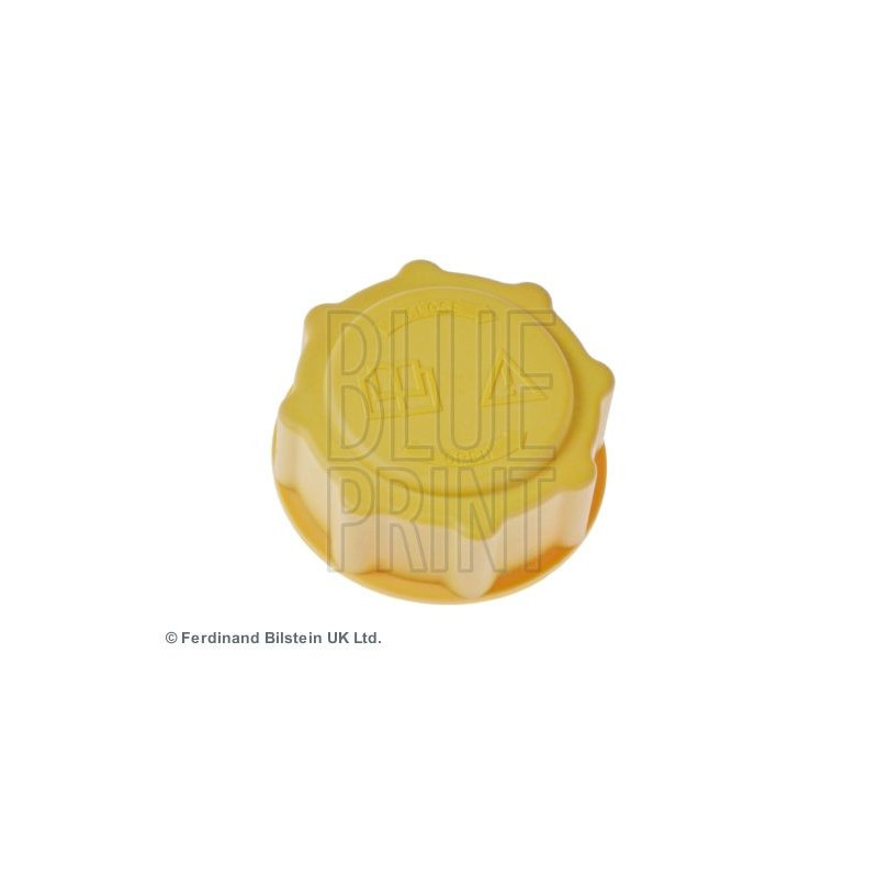 Vaschetta espansione - BLUE PRINT