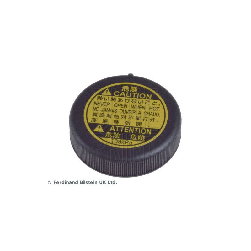 Vaschetta espansione - BLUE PRINT