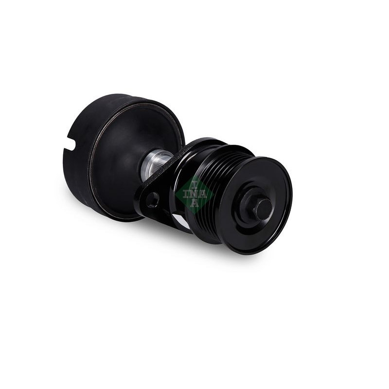 Tendicinghia trapezoidale - INA