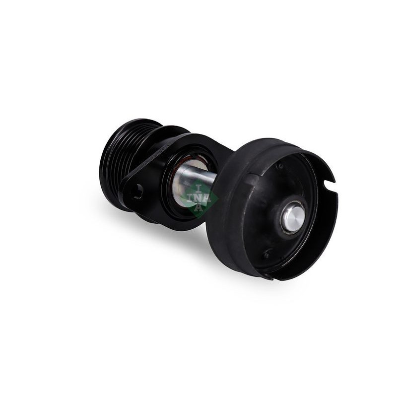 Tendicinghia trapezoidale - INA