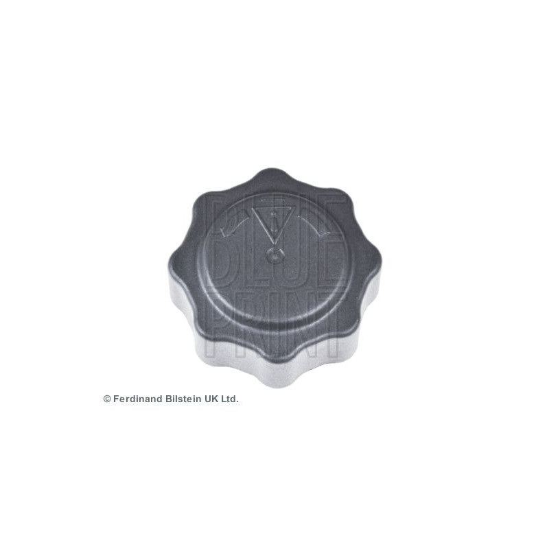 Vaschetta espansione - BLUE PRINT