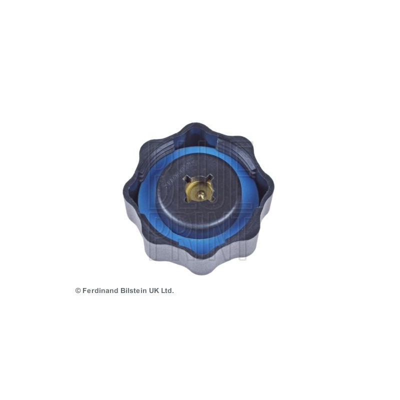 Vaschetta espansione - BLUE PRINT