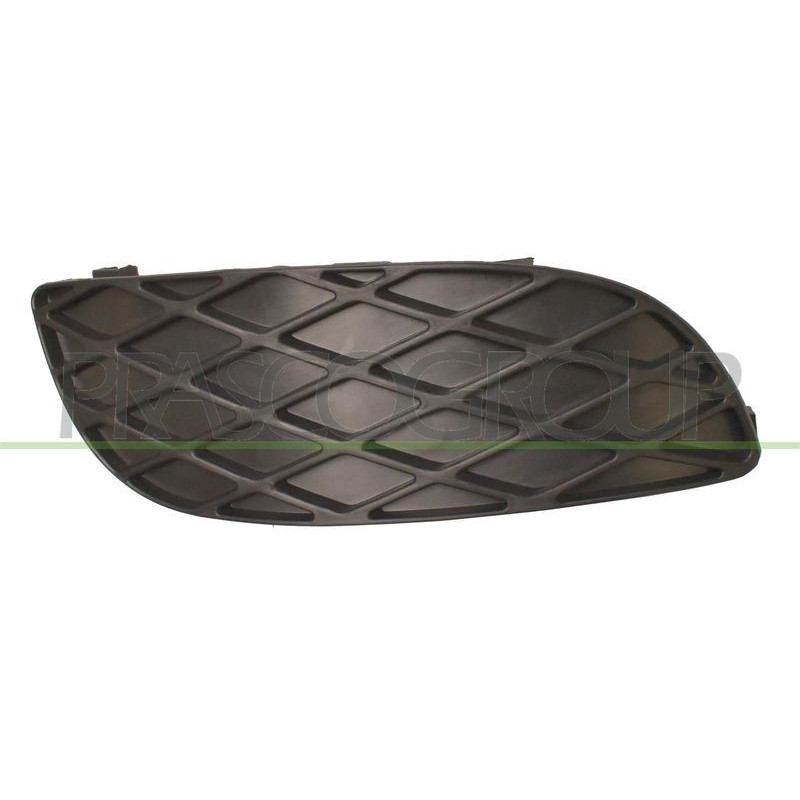 Griglia paraurti - PRASCO