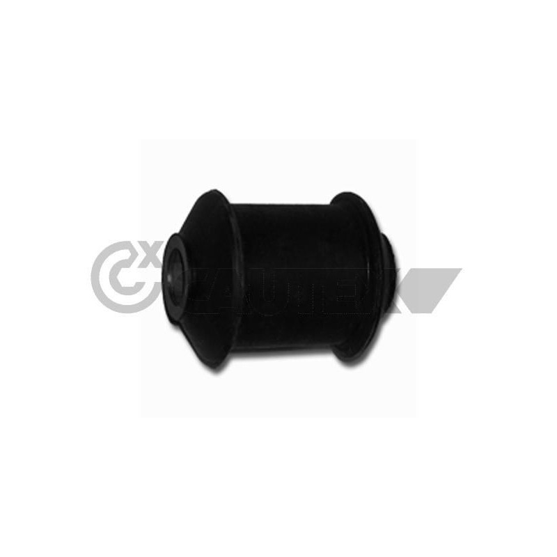 Braccio oscillante asse posteriore - CAUTEX GOMMA E PARTI MOTORE