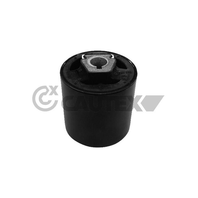 Braccio oscillante asse posteriore - CAUTEX GOMMA E PARTI MOTORE