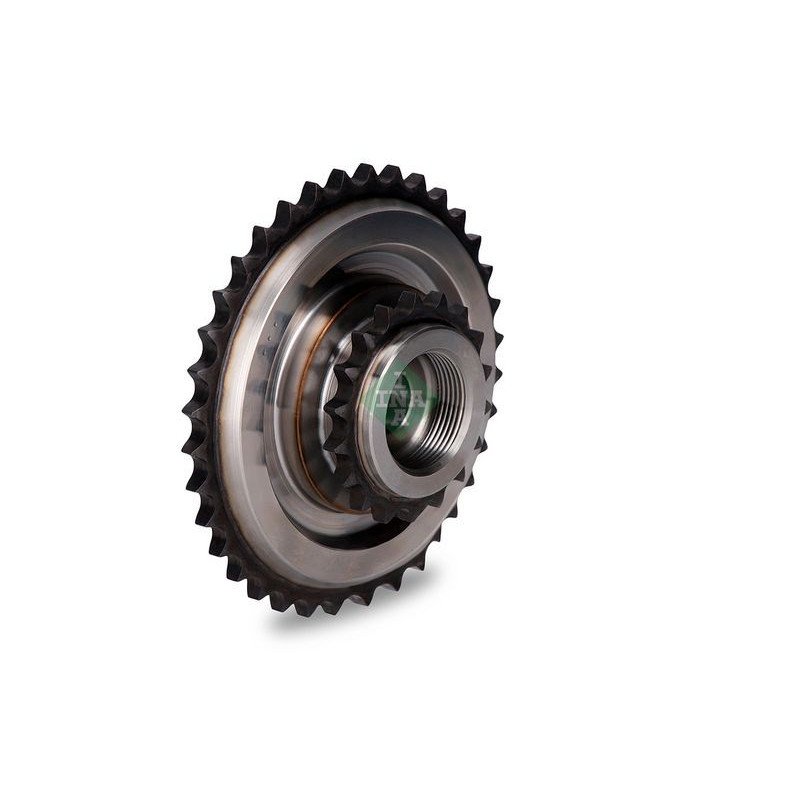 Tendicinghia trapezoidale - INA