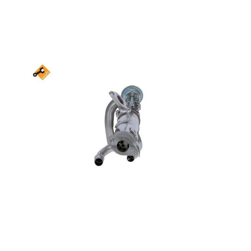 Valvola EGR - NRF