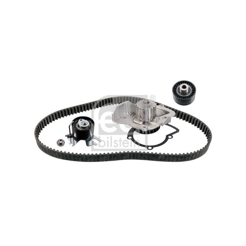 Cinghia/catena distribuzione - FEBI