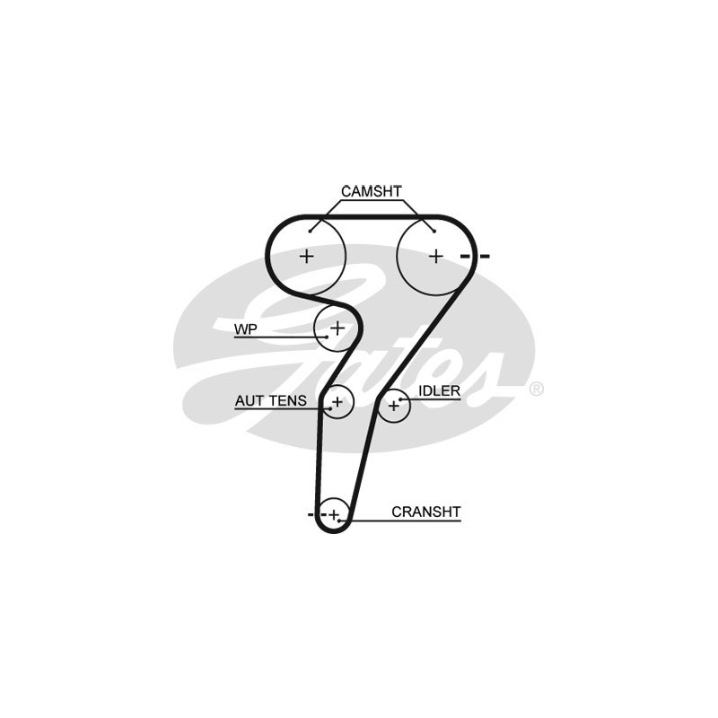 Cinghia/catena distribuzione - GATES