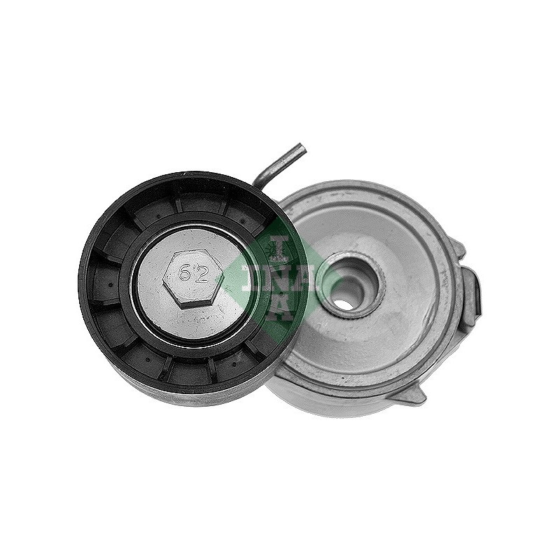 Tendicinghia trapezoidale - INA